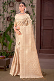 Organza Saree