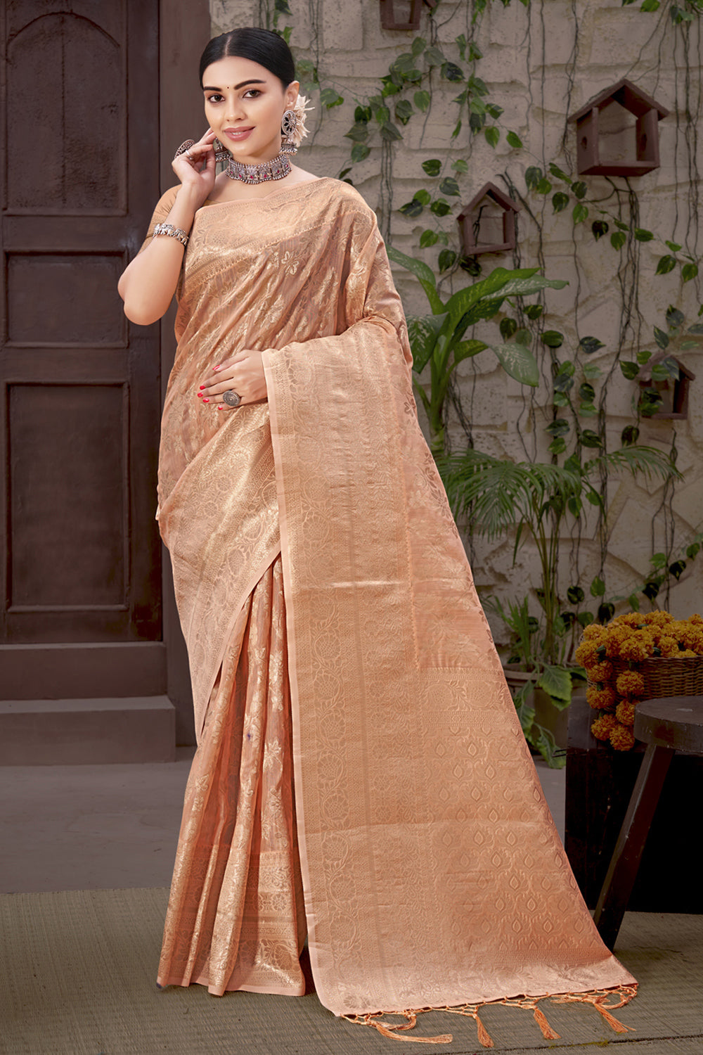 Organza Saree