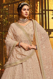 Beautiful Rose Beige Lehenga