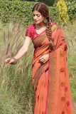 brown saree 