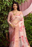 organza saree