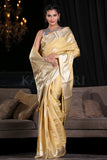 organza saree